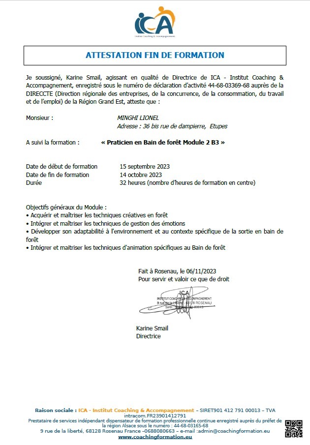 photo activite Lionel Minghi