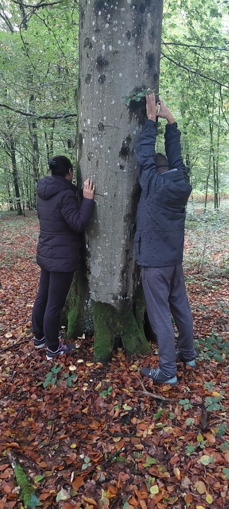 photo seance Lionel Minghi