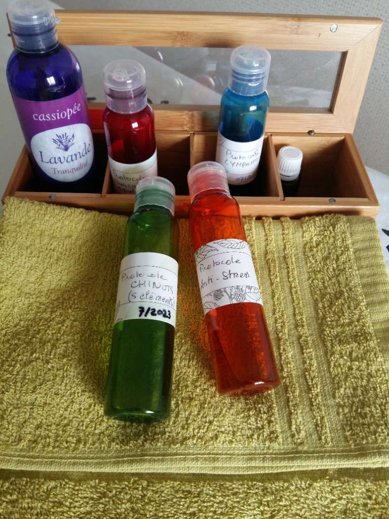 photo activite Gwenaelle Bauza