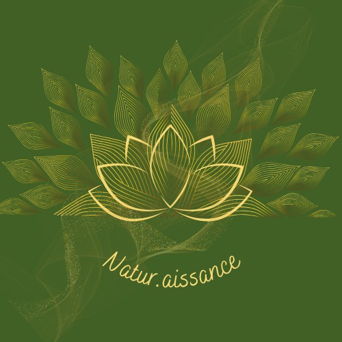 photo cabinet Océane Krief