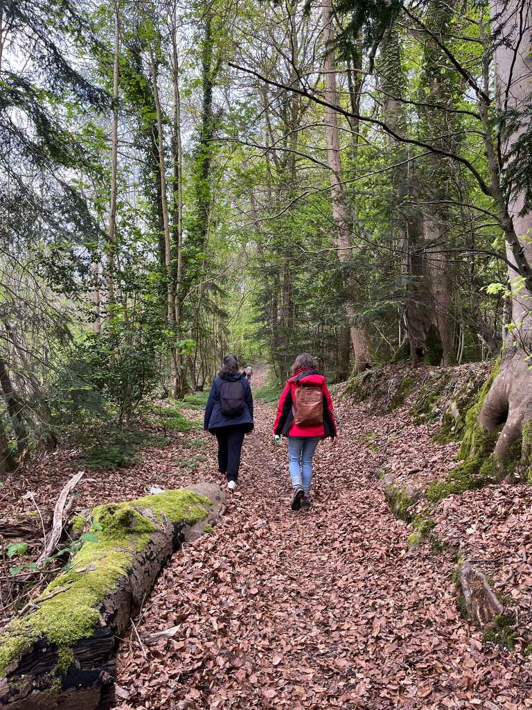 photo activite Isabelle boisbunon