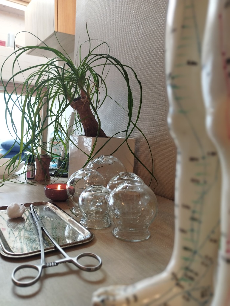 photo activite Millien Pauline Terreacorps