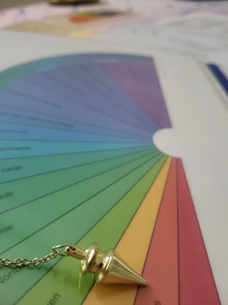 photo activite Anne Bérot 