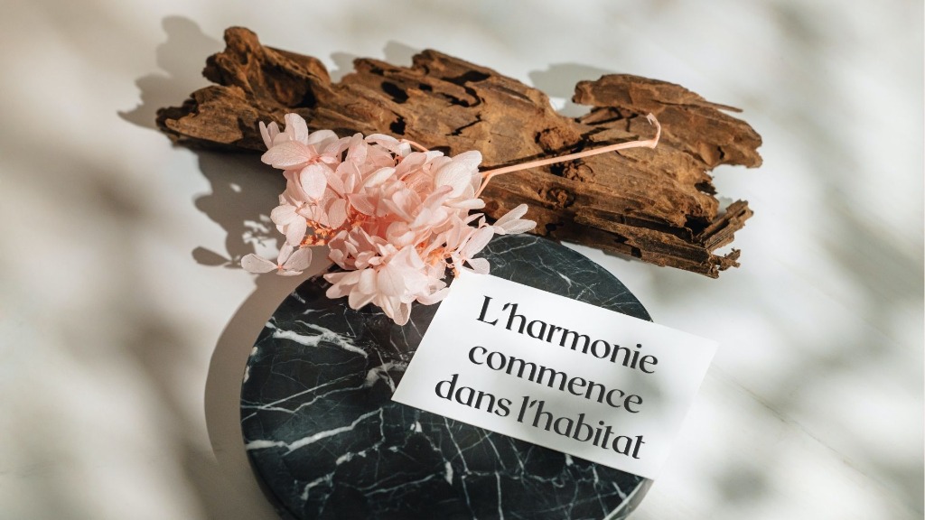 photo cabinet Maison Vibration