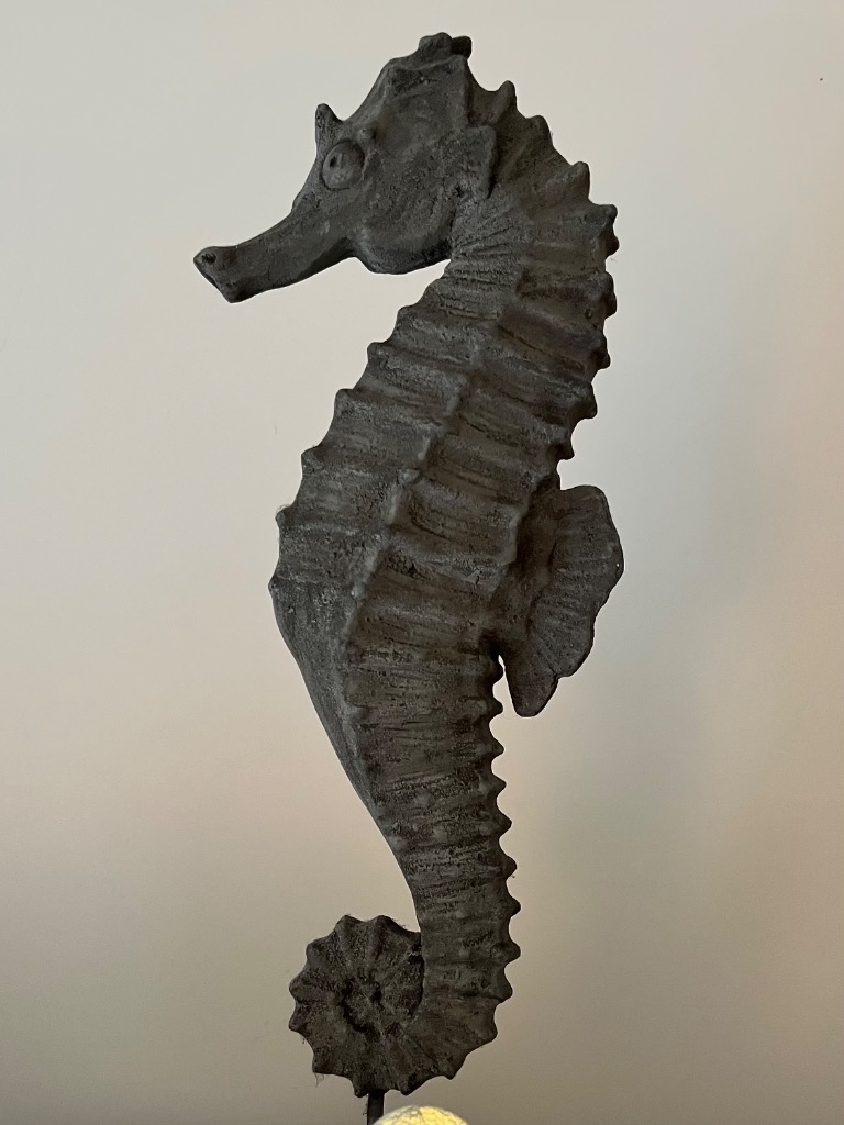 photo cabinet PauseMassageMarion