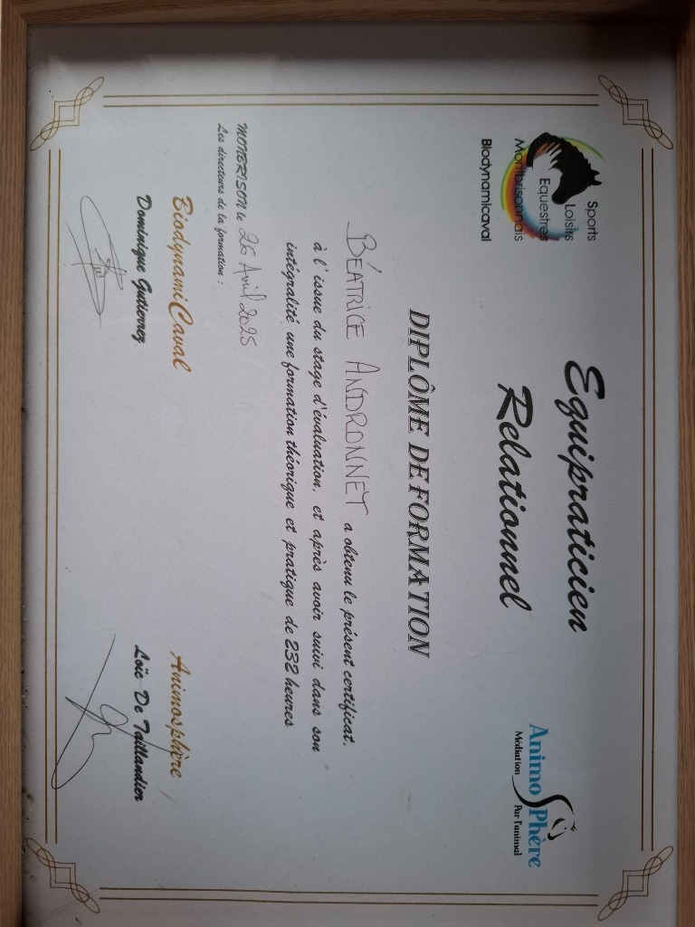 photo portrait Béatrice Andronnet 