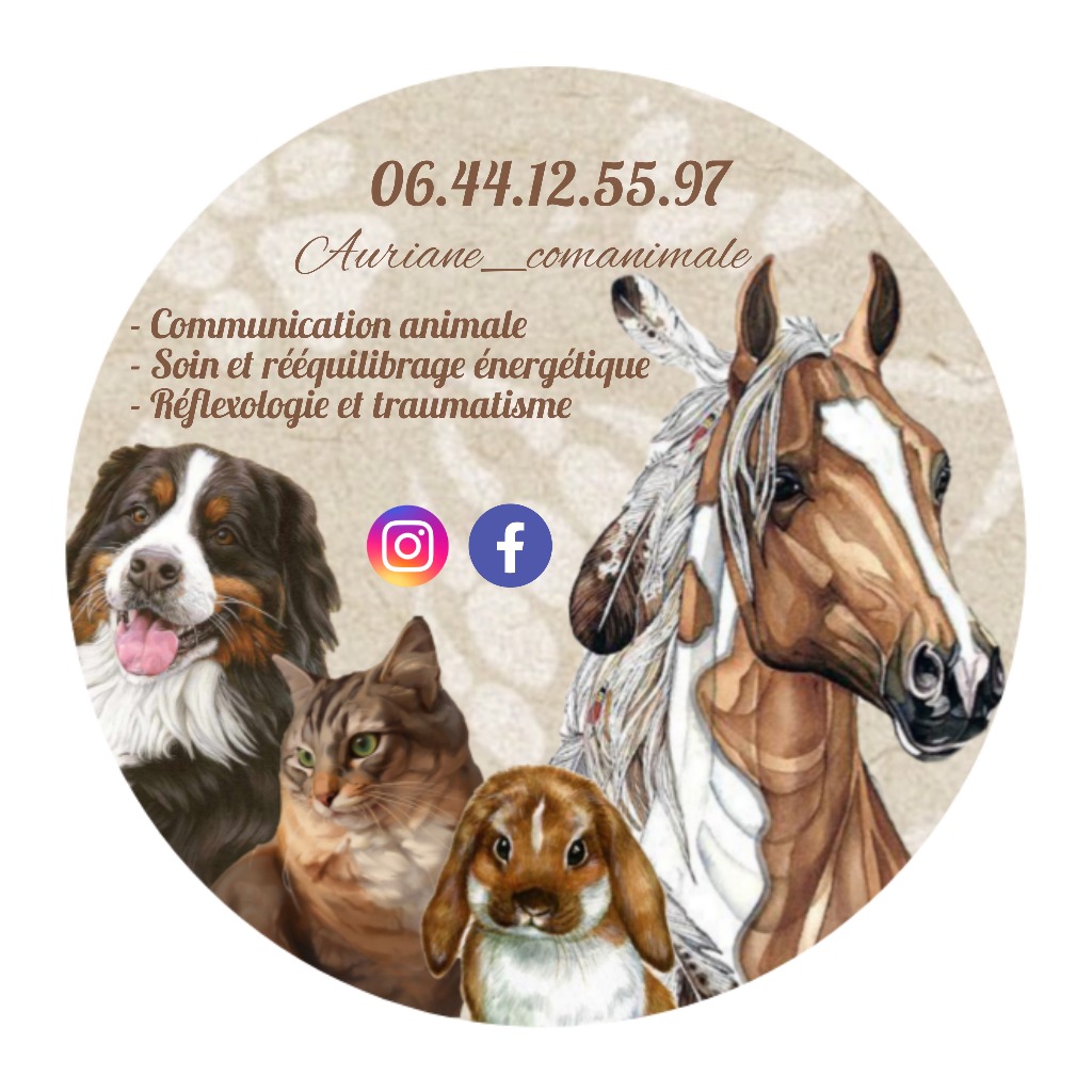 photo activite Auriane Baudu