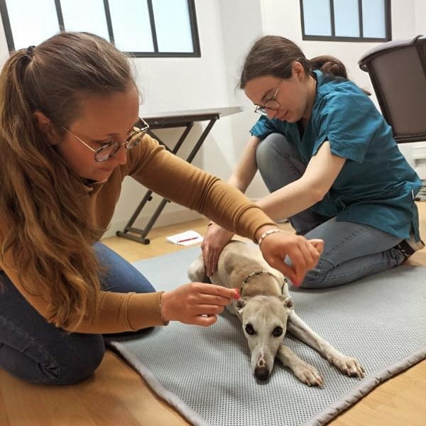 photo cabinet Auriane Baudu