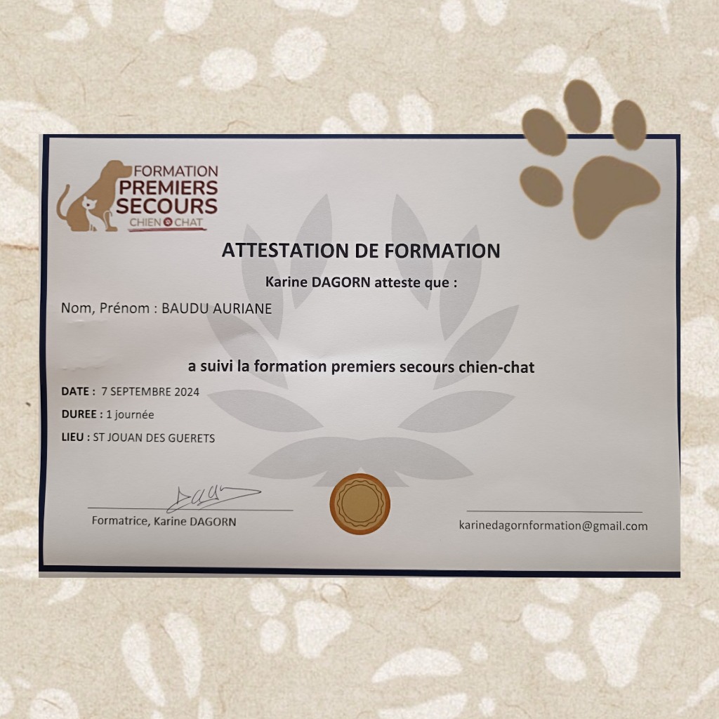 photo diplome Auriane Baudu