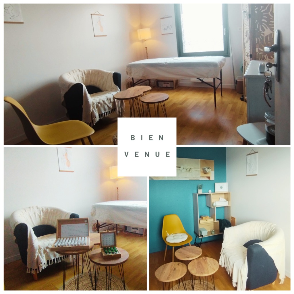 photo cabinet Julie ANTHELME