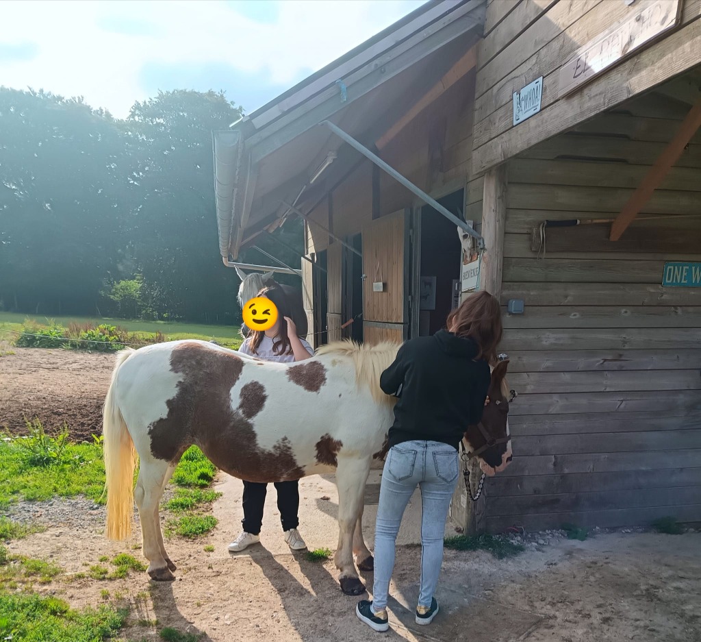 photo activite Celine Barray Avenel