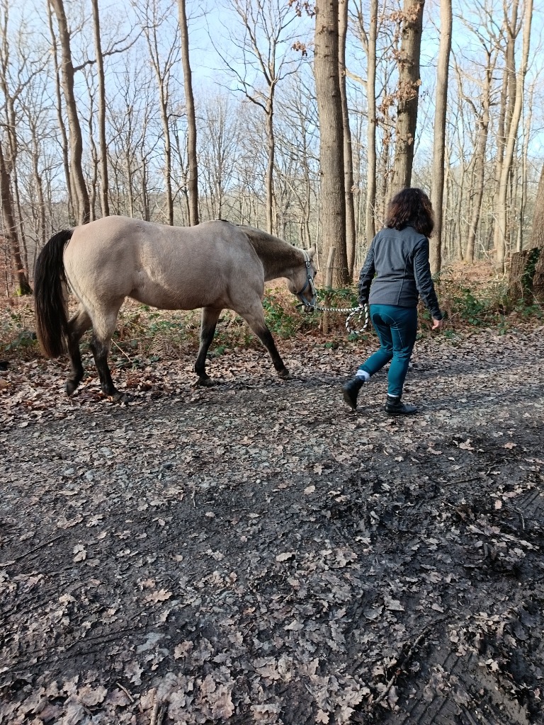 photo seance Celine Barray Avenel