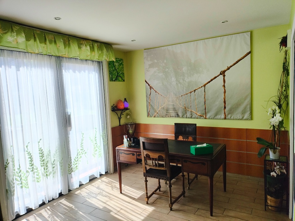 photo cabinet Camille Pellegrin