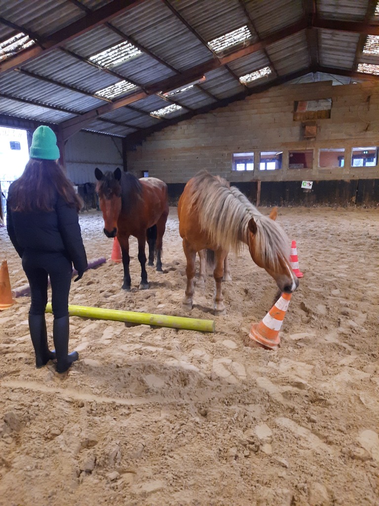 photo activite Claire THEVRET