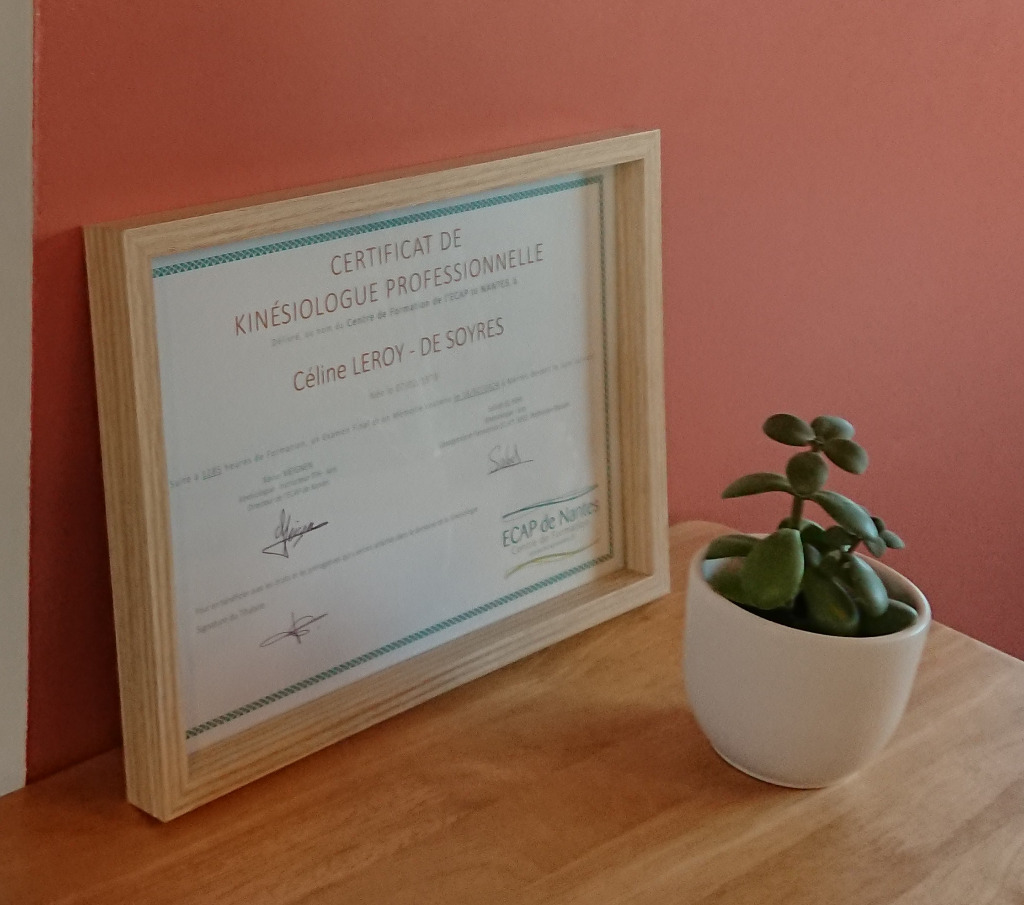 photo diplome Céline LEROY-DE SOYRES (Des mains et des Mots)