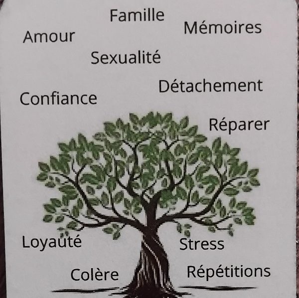 De l’Arbre à la Lumière