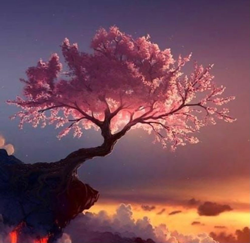 photo portrait Andréa roy