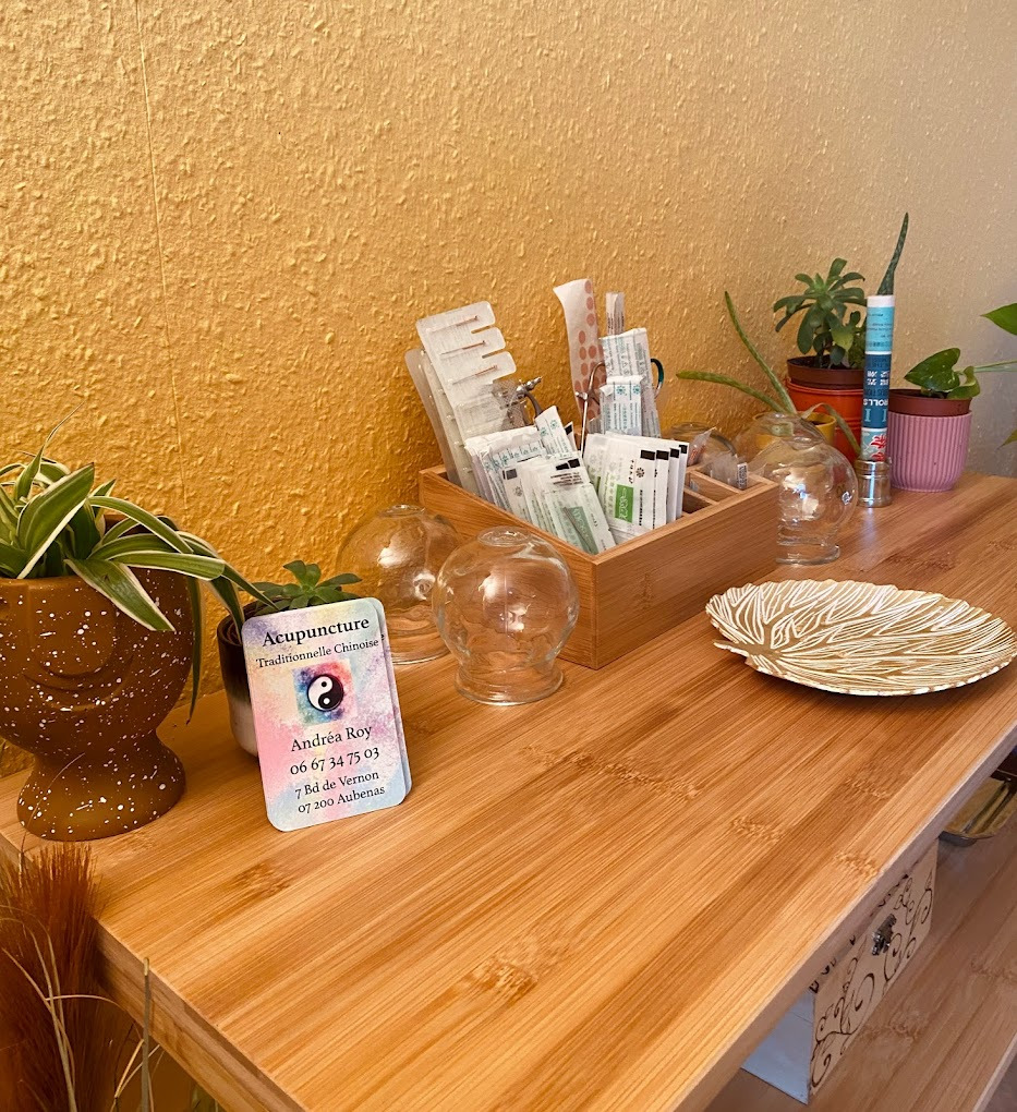 photo seance Andréa roy