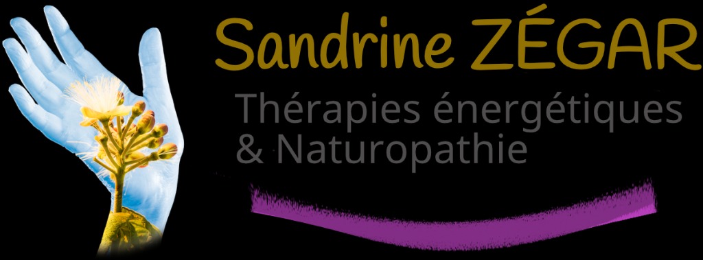 photo diplome Sandrine ZEGAR-Soins énergétiques et Naturopathie