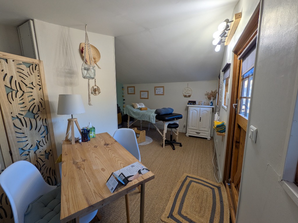 photo cabinet Alexandra BALAN