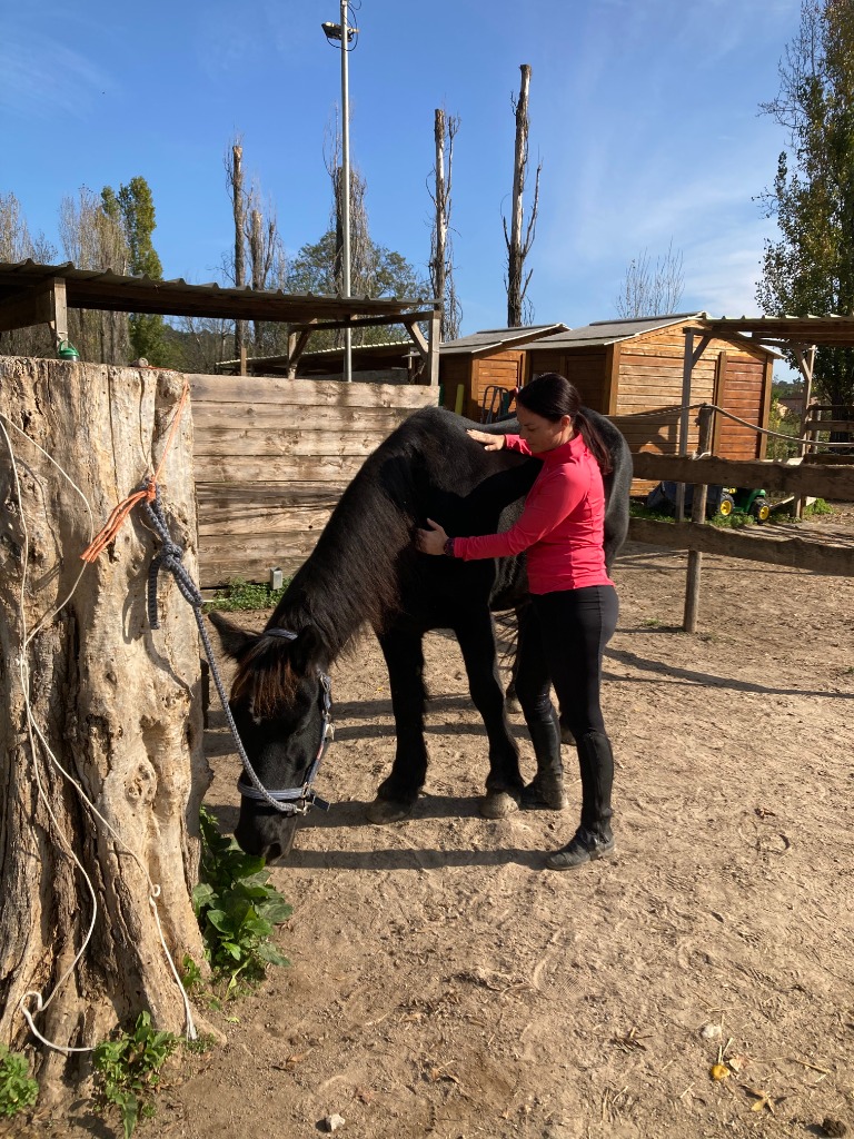 photo cabinet Charlotte COLLET