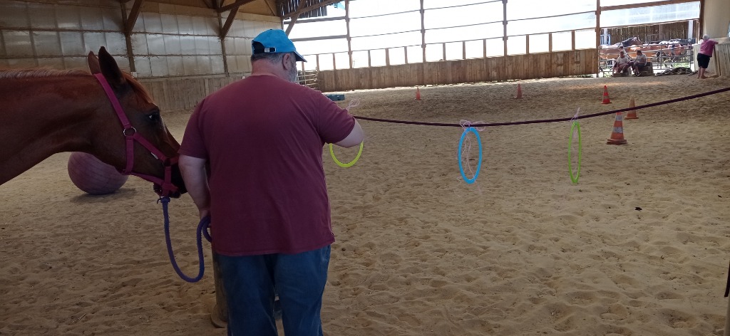 photo activite Laekitherapie 