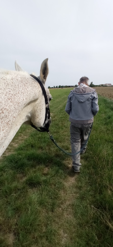 photo seance Laekitherapie 