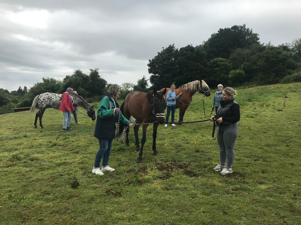 photo activite Equi’potentiels