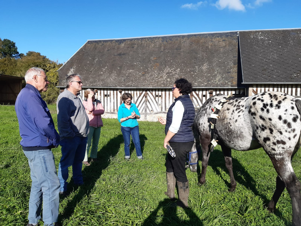 photo seance Equi’potentiels