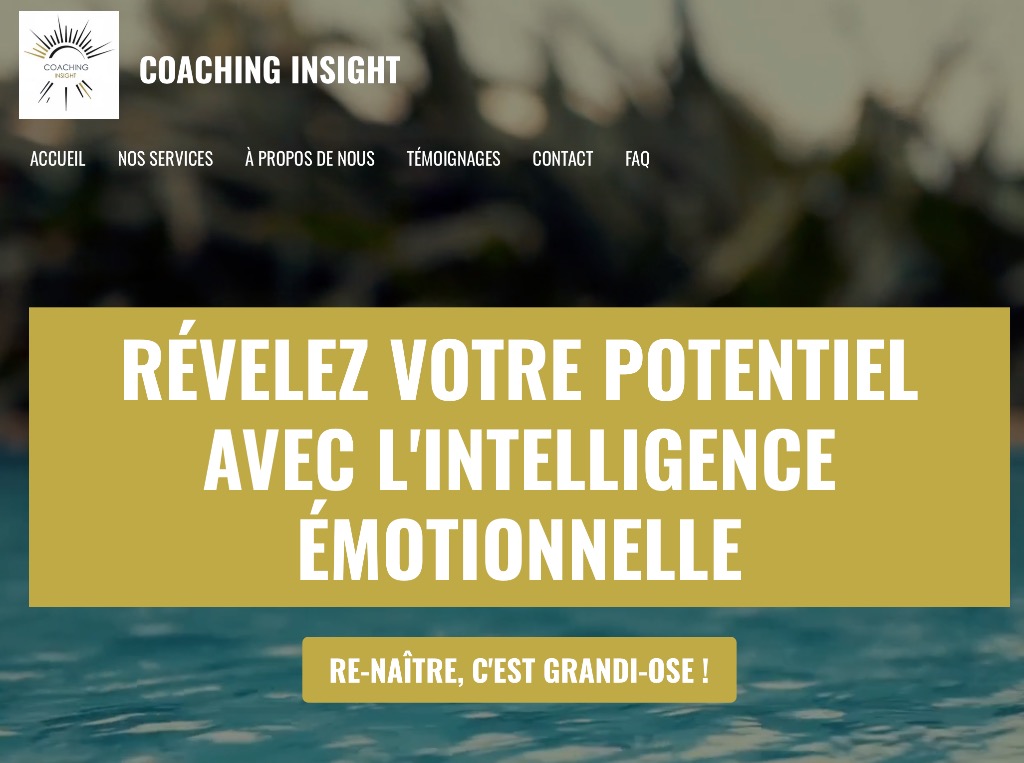 photo cabinet COACHING INSIGHT