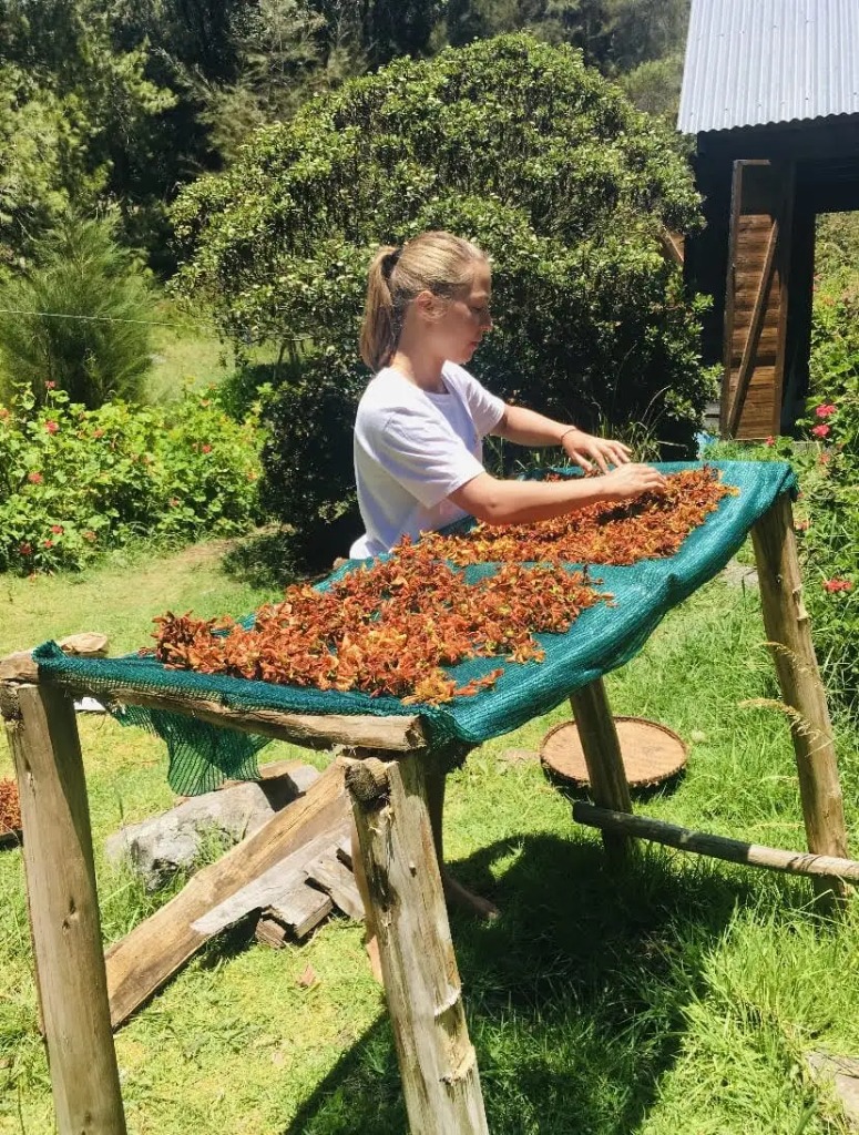 photo diplome Anne Millet