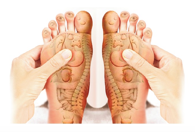 photo activite HÊTRE HARMONIE