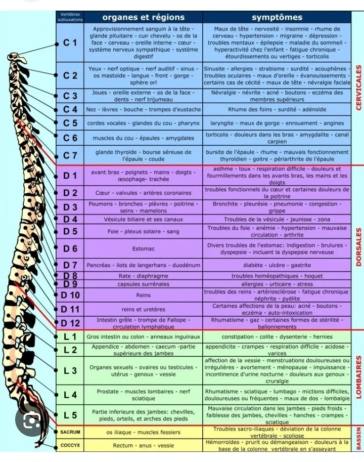 photo diplome FANTI Michel