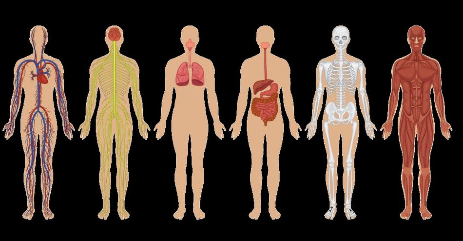 photo portrait FANTI Michel