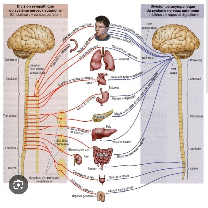 photo seance FANTI Michel
