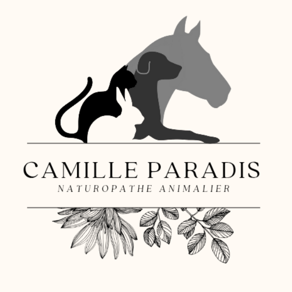 Camille Paradis Naturopathe Animalier 