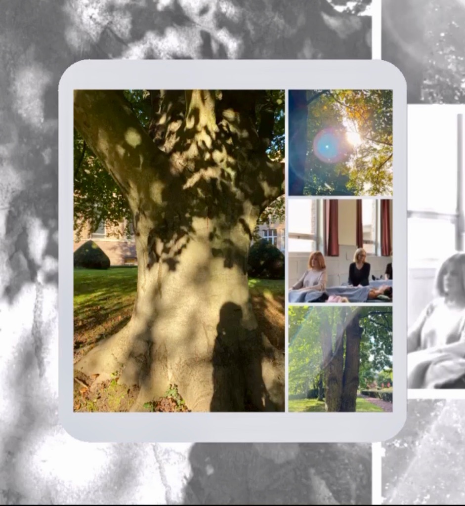 photo seance Véronique GUÉRIN-RACINE