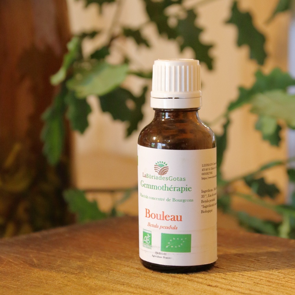 photo activite Gwendoline LEHMANN