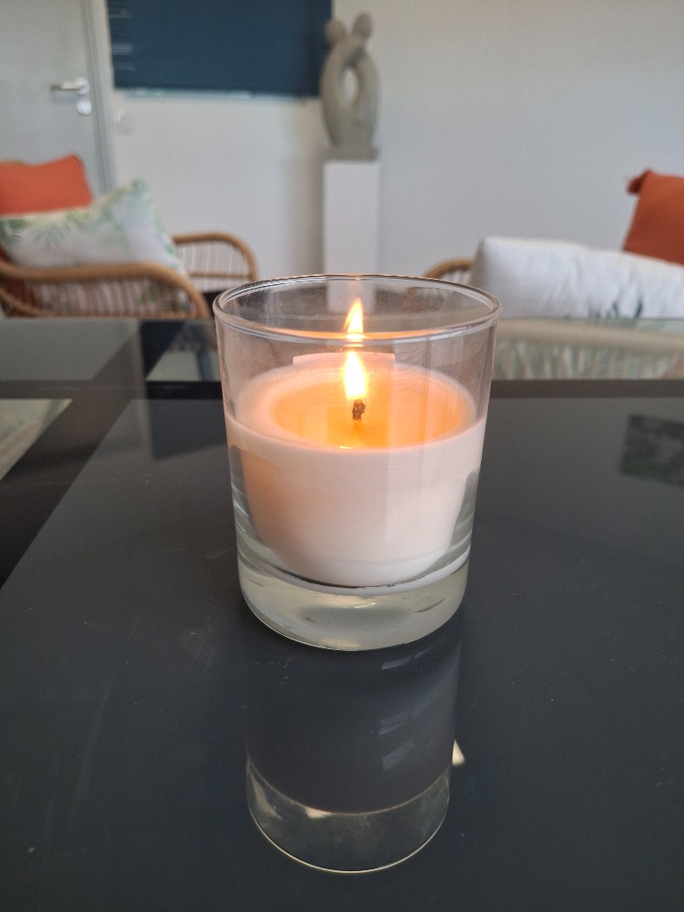 photo activite Thierry ROMAN