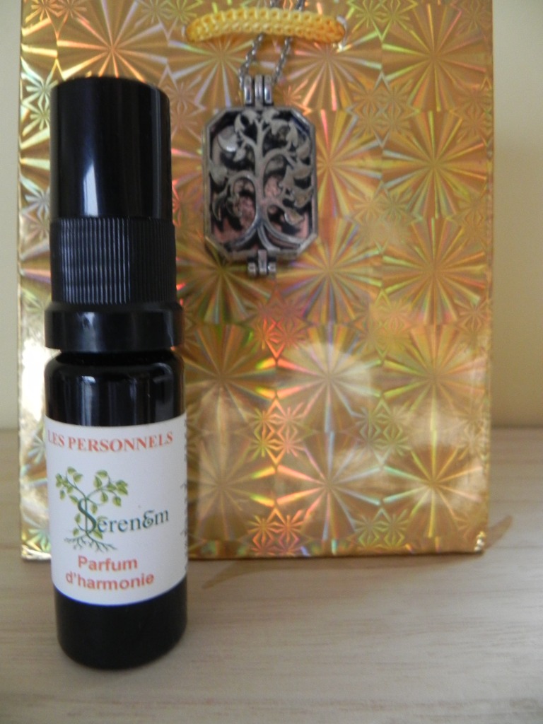 photo portrait Centre Mas-Lanka Ayurveda