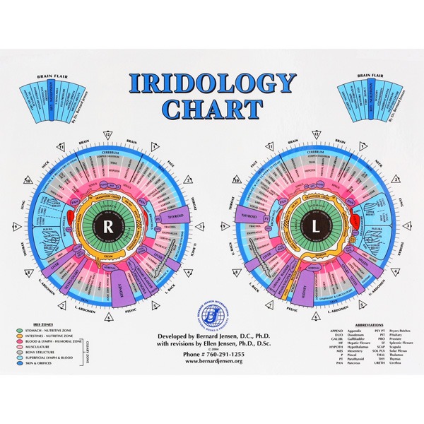 photo activite Marie Flore Jourdan