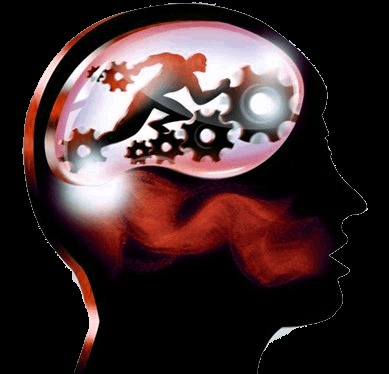 photo cabinet Performotion