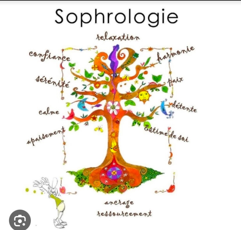 photo activite Mebarki Mercedes 