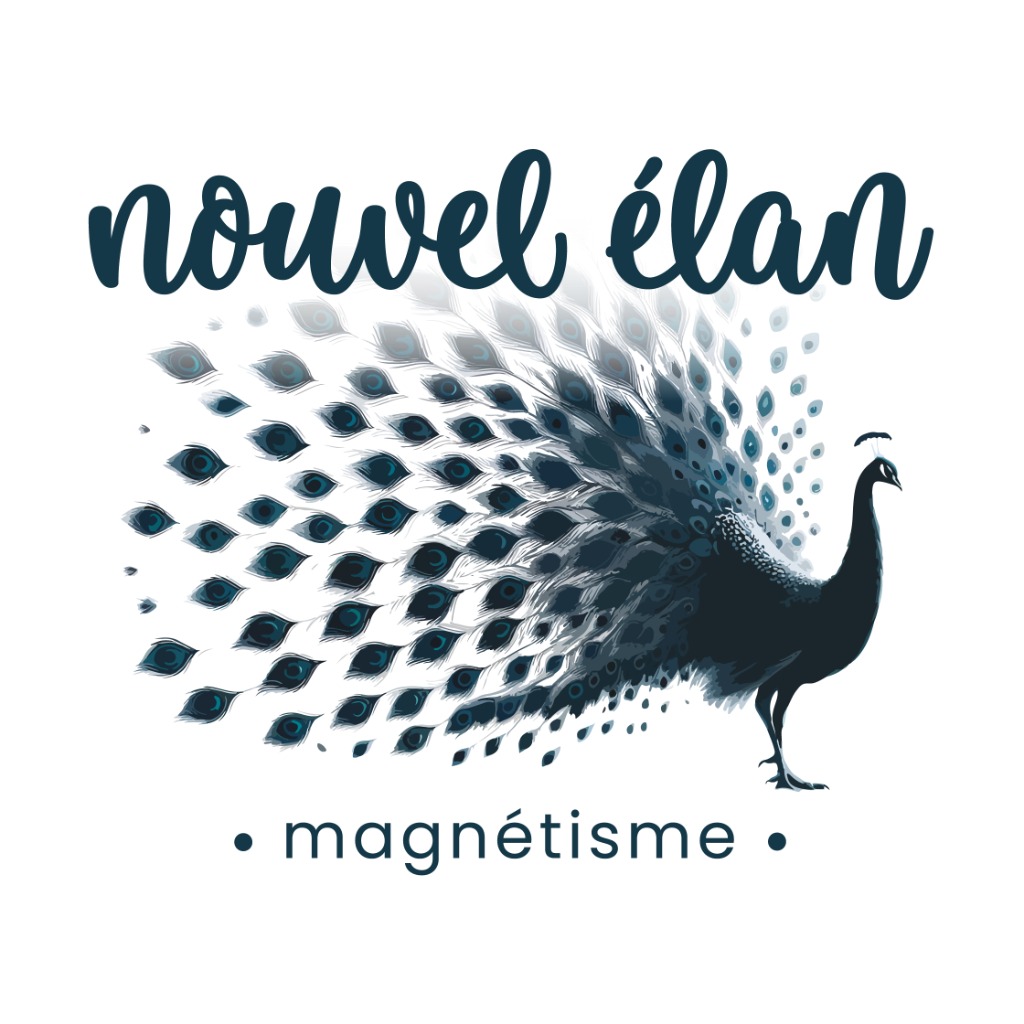 photo activite Nouvel élan - magnétisme