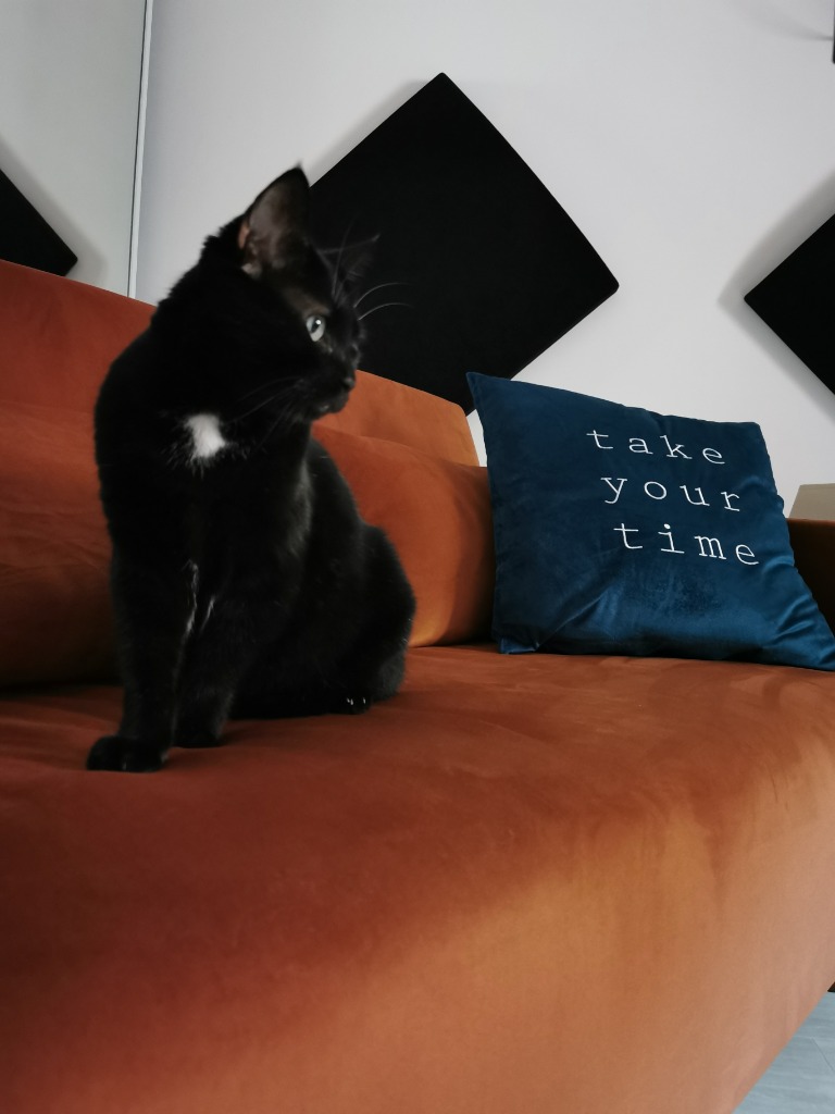 photo cabinet Pauline Pereira Psychanalyste_Psychanalyse et Vous