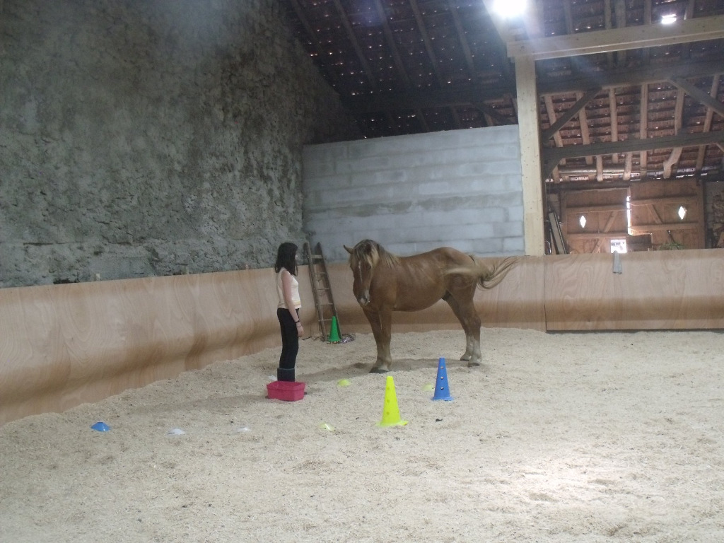 photo activite Crinière & Thérapie Tiphaine DA COL