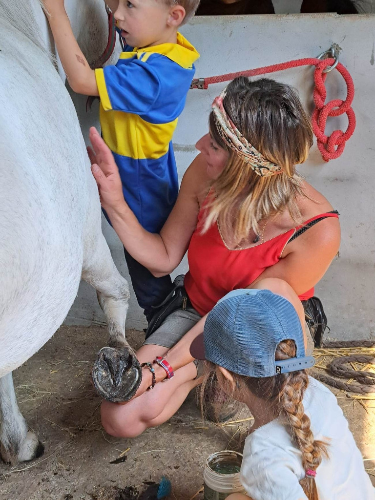 photo seance Crinière & Thérapie Tiphaine DA COL