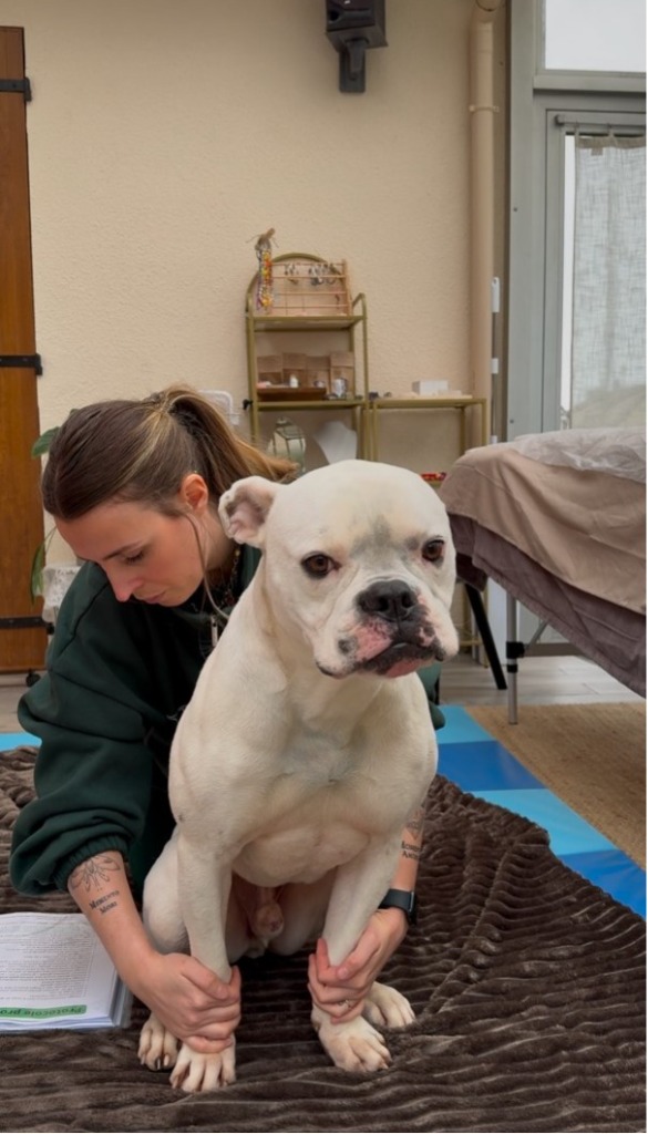 photo activite Floriane ANSAR