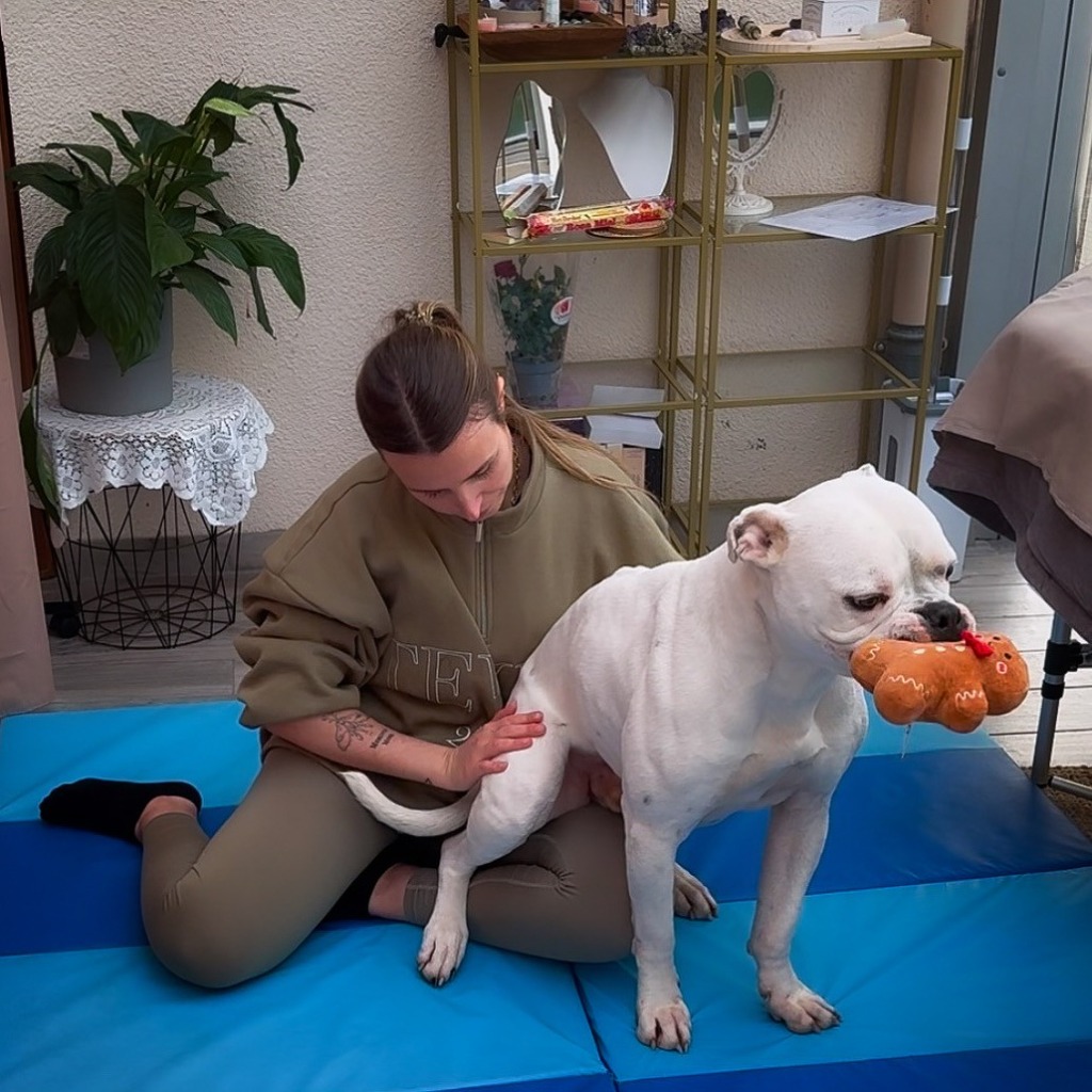 photo cabinet Floriane ANSAR