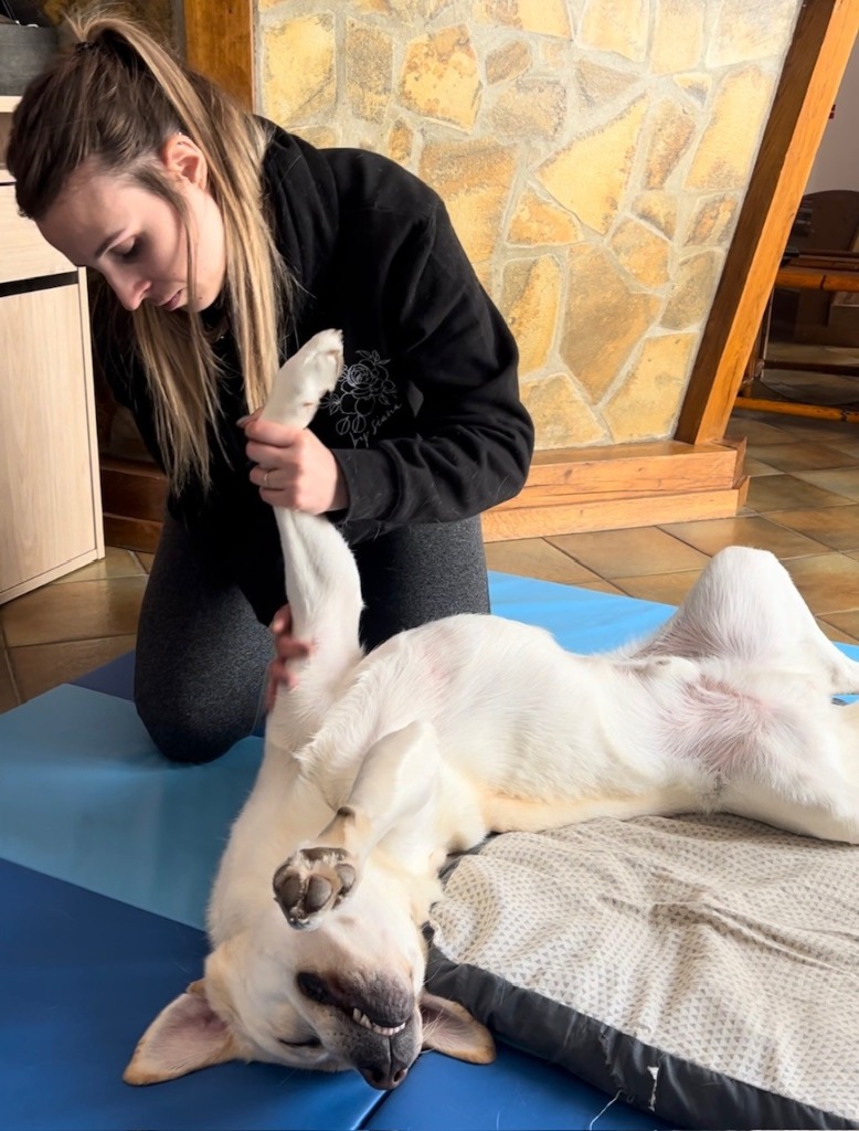 photo portrait Floriane ANSAR